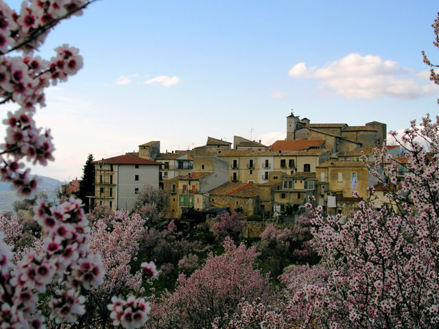 Panorama